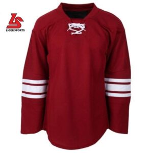 ice hockey